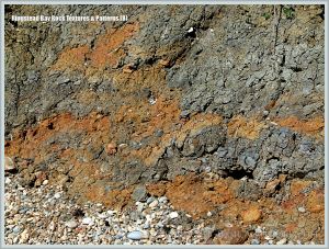 Iron-stained Kimmeridgian mud and shale in a landslide at Ringstead Bay