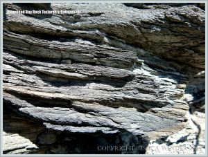 Close-up of layers in Kimmeridge Shale