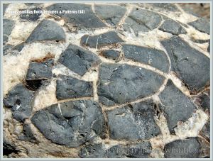 Close-up of a septarian nodule