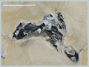 Close-up of a flint nodule embedded in chalk