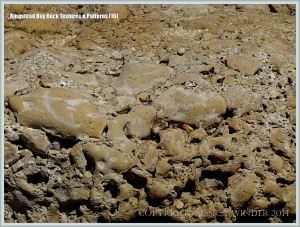 Close-up of the weathered surface of Nodular Chalk