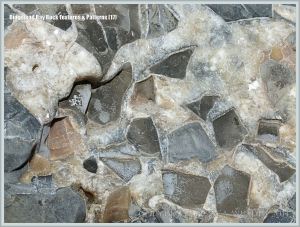 Close-up of the inside of a septarian nodule