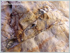 Natural rock textures