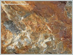 Natural rock textures