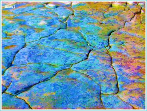 Colourised photograph of trace fossils in rock pavement