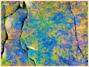 Colourised photograph of trace fossils in rock pavement