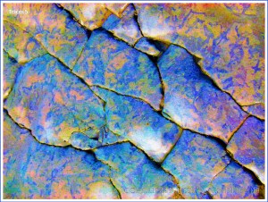 Colourised photograph of trace fossils in rock pavement
