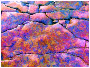 Colourised photograph of trace fossils in rock pavement