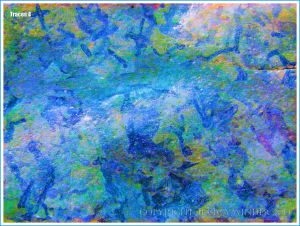 Colourised photograph of trace fossils in rock pavement