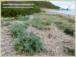 View of Ringstead Bay looking east
