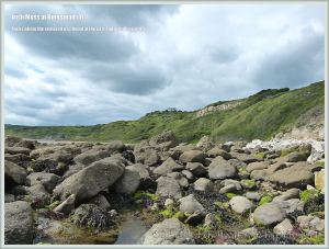 Boulders beneath White Nothe at Ringstead Bay