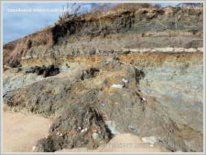 Rock fall in low cliff of Jurassic Corallian & Kimmeridge Formation strata at Ringstead Bay