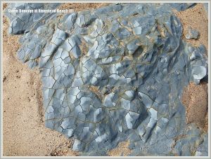 Natural pattern of cracks in Ringstead Waxy Clay outcrop at Ringstead Bay