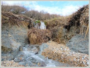 Storm damage to cliff edge near a stream at Ringstead Bay