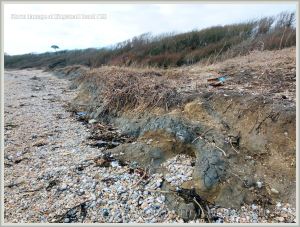 Storm damage to cliff edge at Ringstead Bay