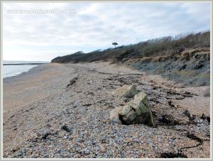Single stretch of shingle bank remaining on the western end of Ringstead Beach after winter storms