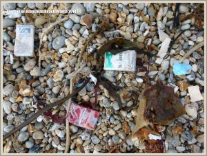 Flotsam packets of cigarettes washed ashore at Ringstead Bay