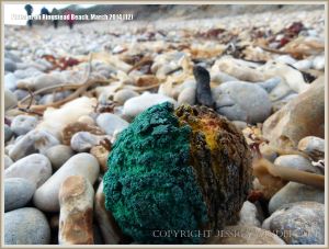 Remains of a toy ball washed up on Ringstead Beach