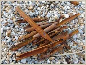 Rusty iron palings on the shingle beach at Ringstead Bay