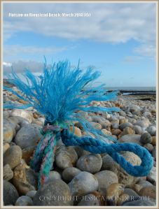 Knotted rope flotsam washed ashore at Ringstead Bay