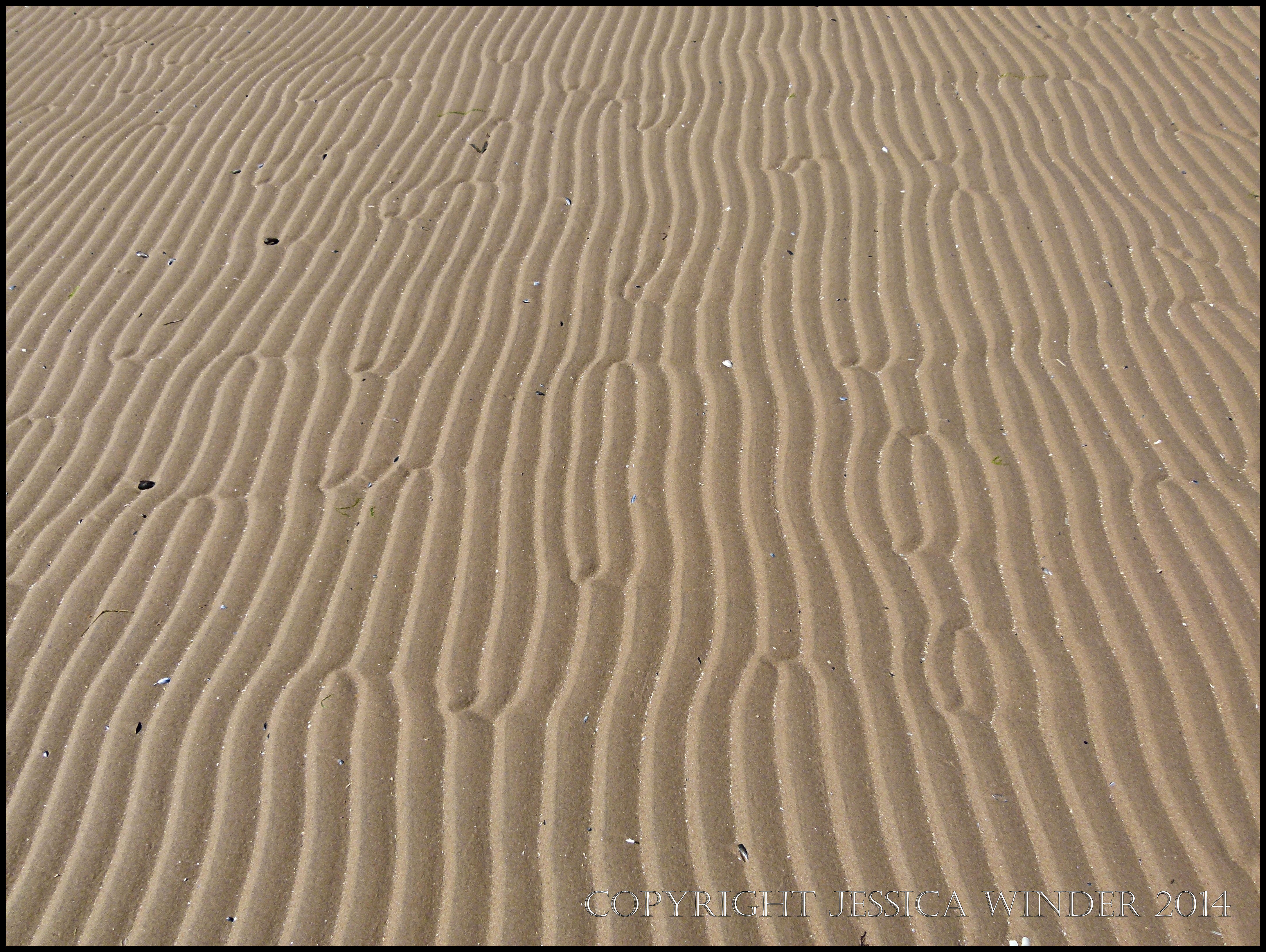Sand Ripples Drawing Sand Ripple Patterns 1 – Jessica's Nature Blog