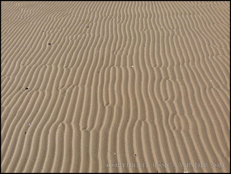 Linear sand ripples with bifurcations