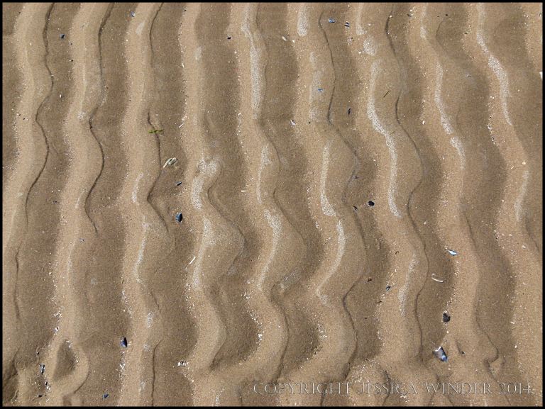 Wavy or sinuous sand ripples