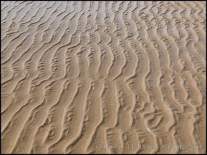 Interference ripple marks