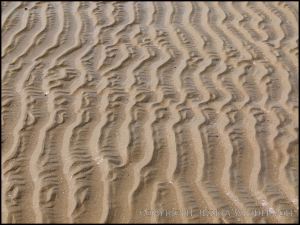 Interference ripple marks