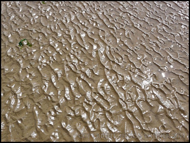 Complex sand ripples