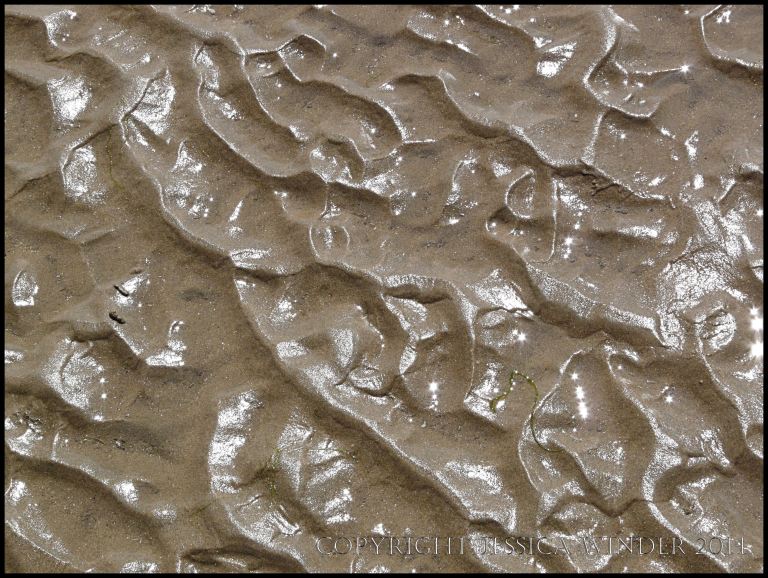 Complex sand ripples