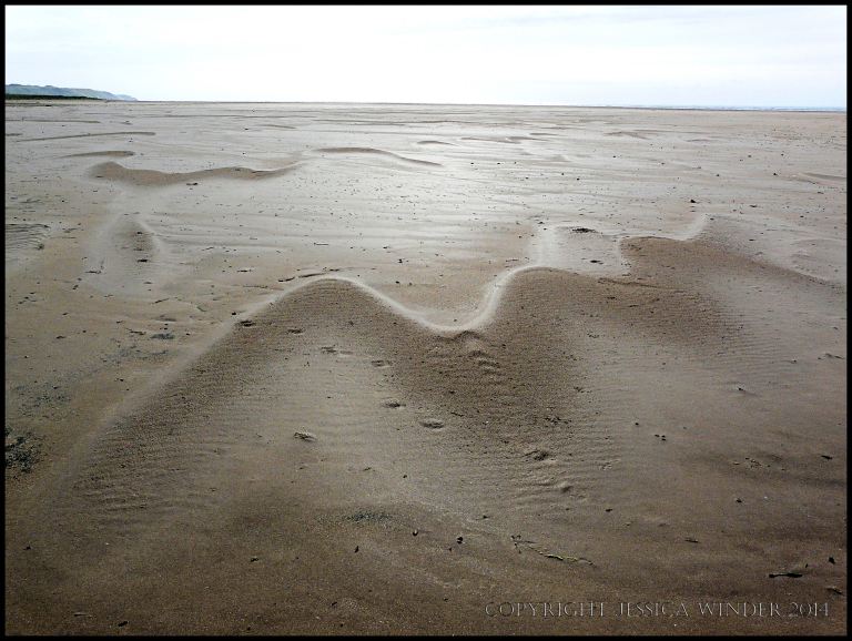 Linguoid sand ripples