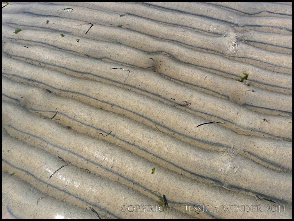 Some different types of seashore sand ripples – Jessica's Nature Blog