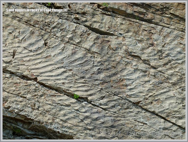 Sand ripples preserved in Carboniferous rock at Cape Enrage in New Brunswick