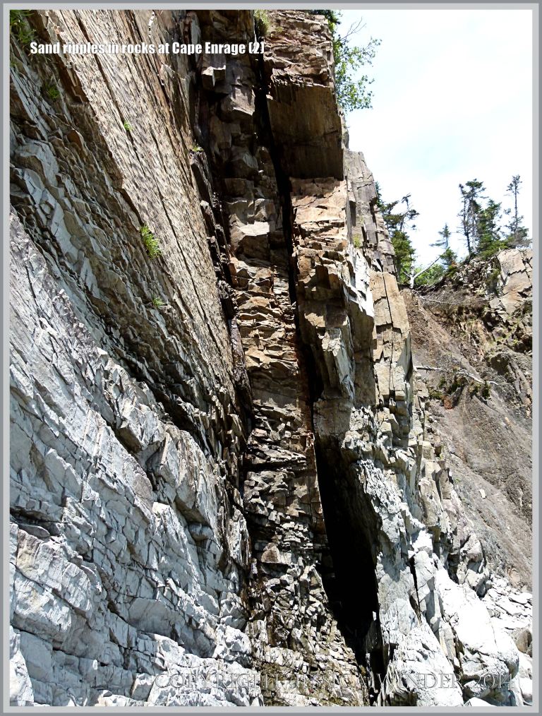 Sand ripples preserved in Carboniferous rock at Cape Enrage in New Brunswick