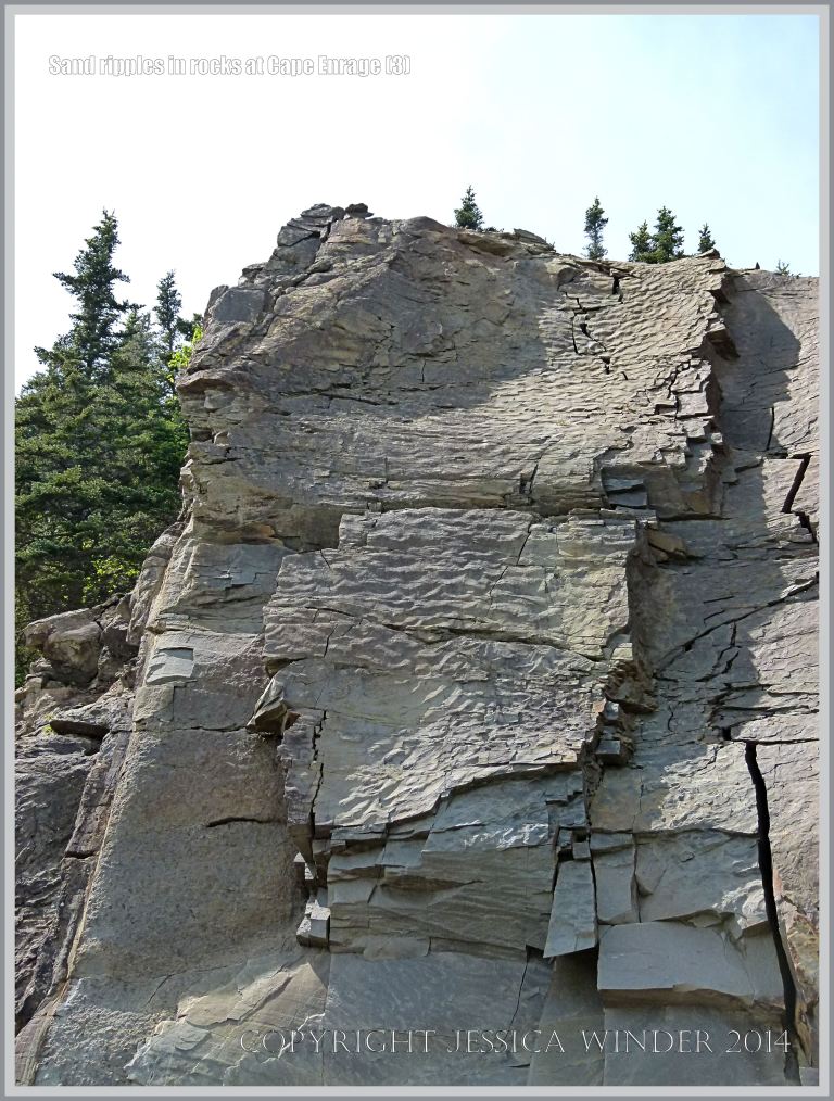 Sand ripples preserved in Carboniferous rock at Cape Enrage in New Brunswick