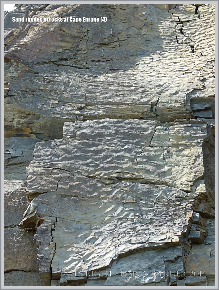 Sand ripples preserved in Carboniferous rock at Cape Enrage in New Brunswick