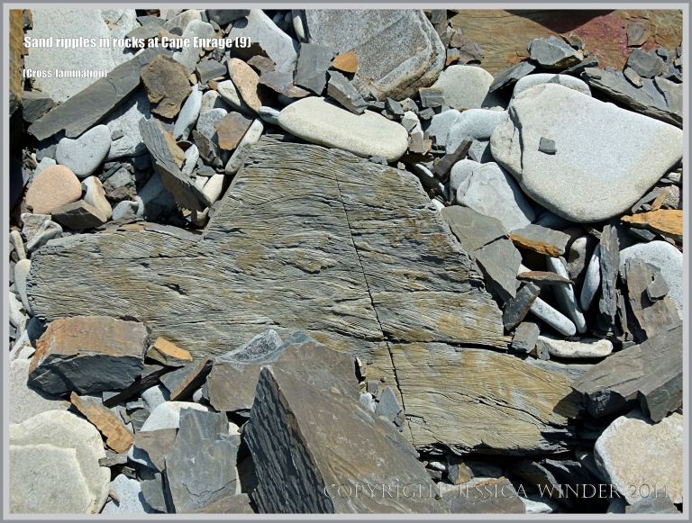 Cross-lamination made by sand ripples preserved in Carboniferous rock at Cape Enrage in New Brunswick