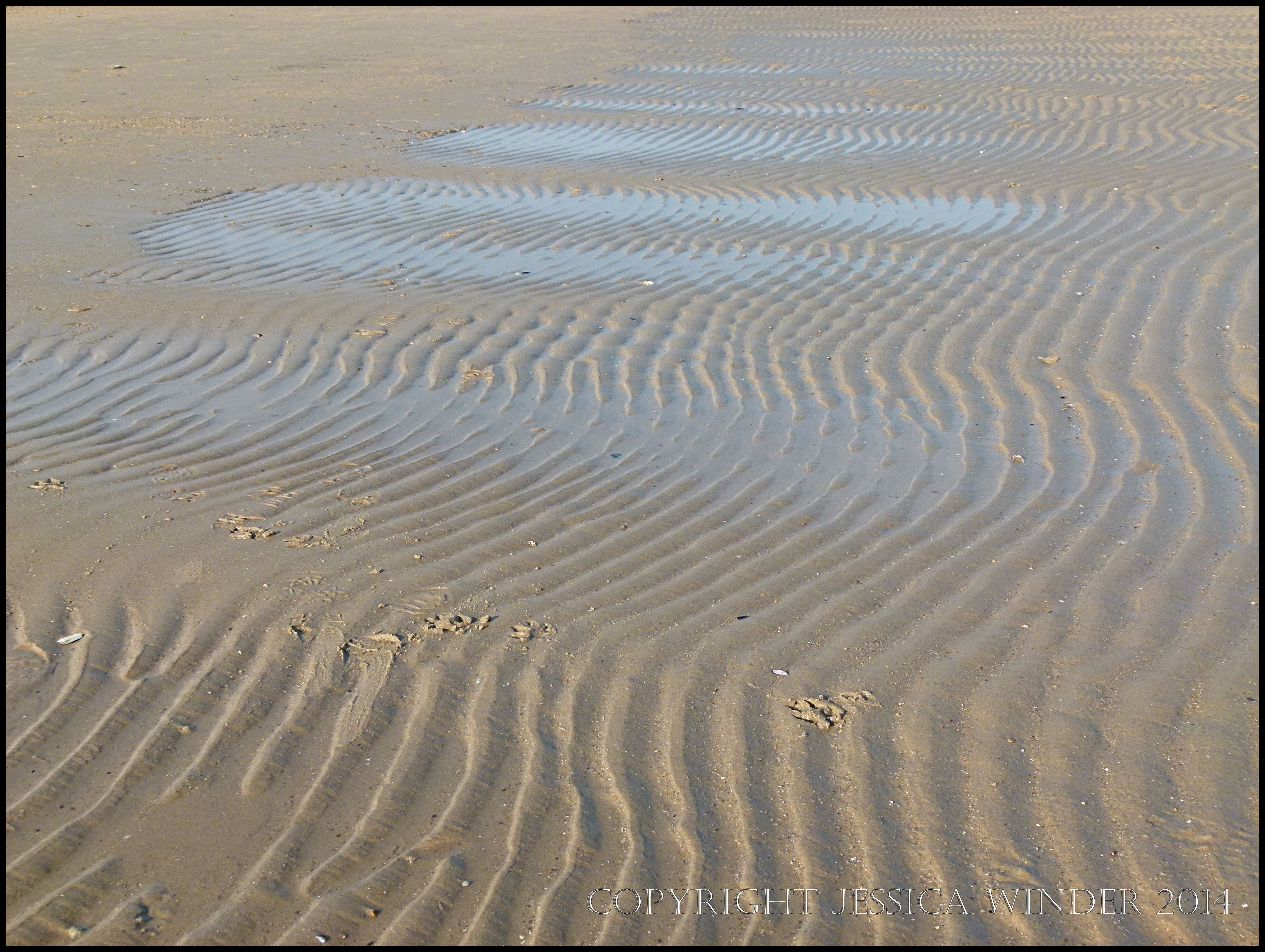 Blue Sand Ripple Some different types of seashore sand ripples – Jessica's Nature Blog