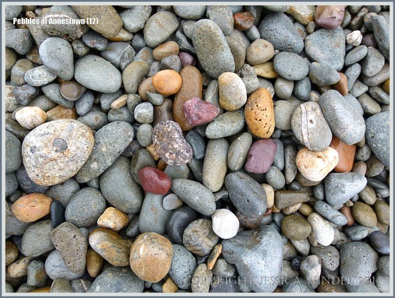 Pebbles on a Copper Coast beach