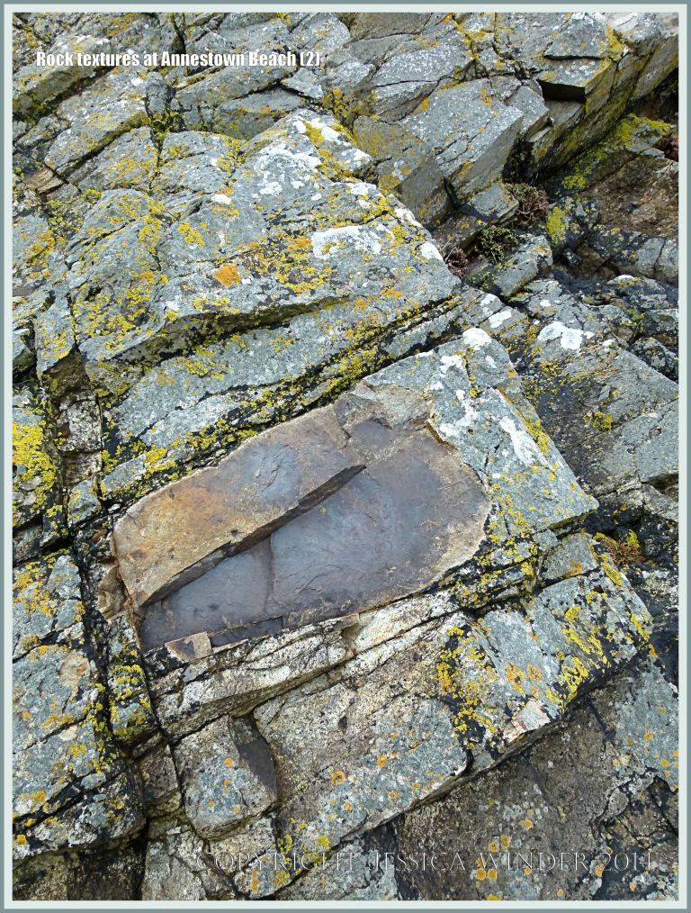 Close-up of Ordovician volcanic rock texture in cliffs at Annestown