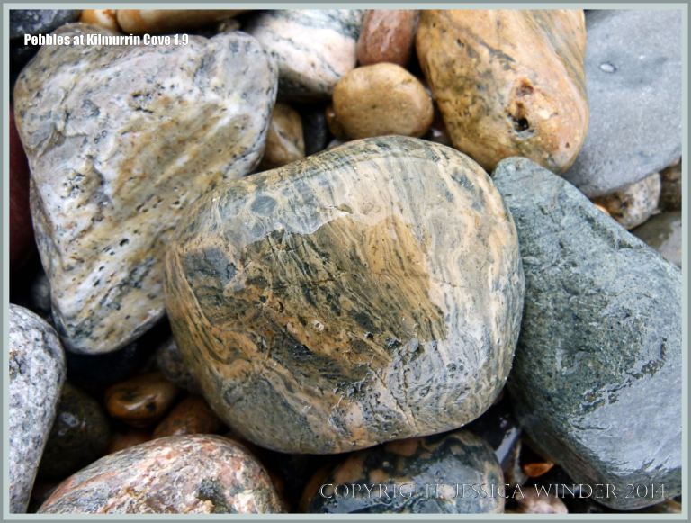 Natural pattern of banding in a rhyolite pebble