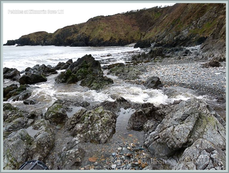 View of the west end of Kilmurrin Cove with stream crossing exposed Ordovician rocks