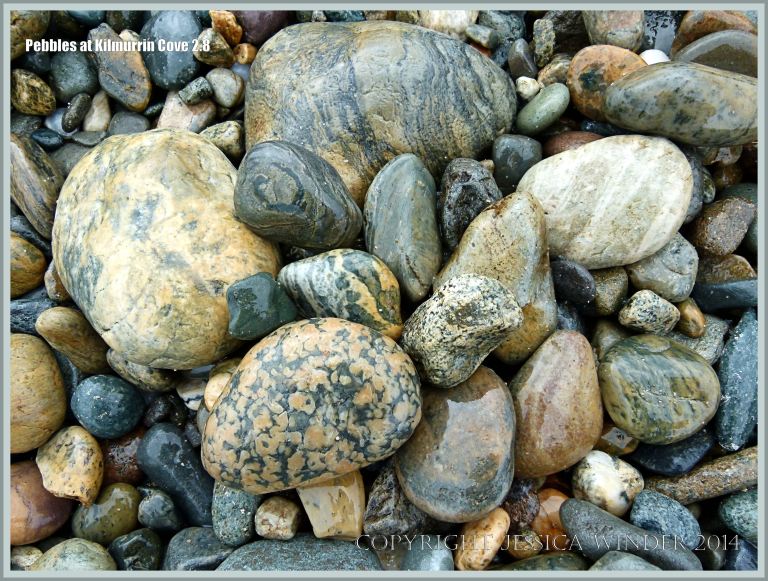 Pebbles with spots and stripes at Kimurrin Cove