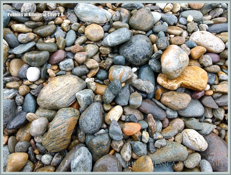 Wet beach stones of mainly Ordovician volcanic origin