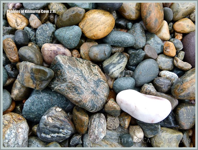 Wet beach stones at Kilmurrin Cove