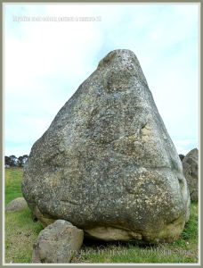 Rhyolite boulder in the Bunmahon Geological Garden