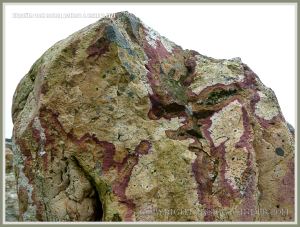 Natural abstract pattern in a rhyolite boulder in Bunmahon Geological Garden
