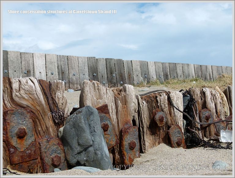 Wooden revetments on a sandy beach