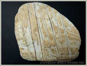 Beach stone made of Cork Group Namurian rock